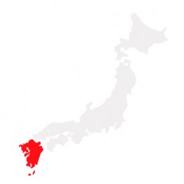 JR All Kyushu Pass